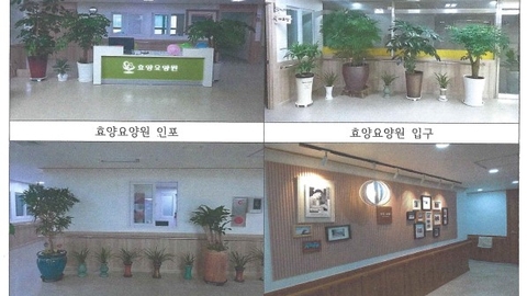 효양요양원1