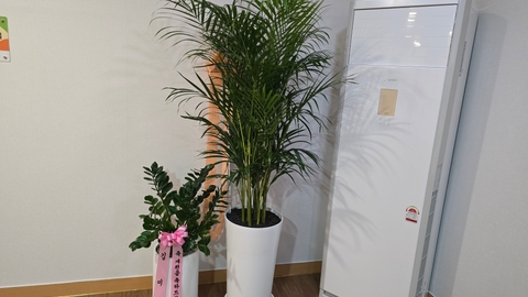 효담요양원8