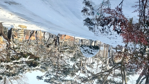고창원광참살이요양원2