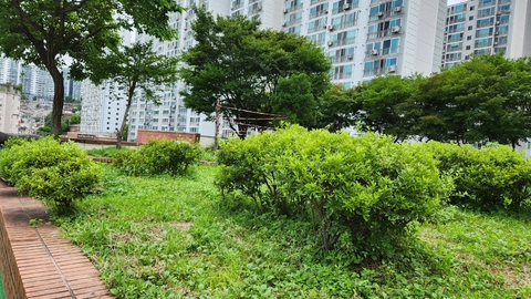 더숲데이케어센터2