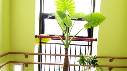 사랑 주야간보호센터6