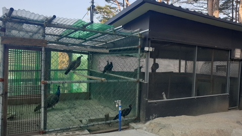은영재활주간보호센터5