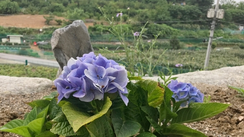 은영재활주간보호센터18