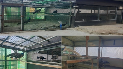 은영재활주간보호센터3