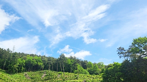 서산해바라기재가복지센터7