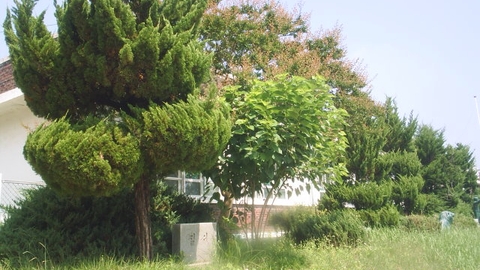 논산노인복지센터11