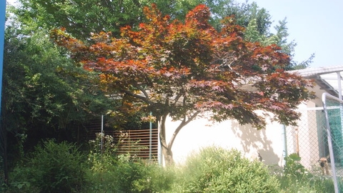 논산노인복지센터13