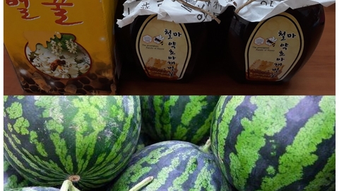 더봄재가노인복지센터24
