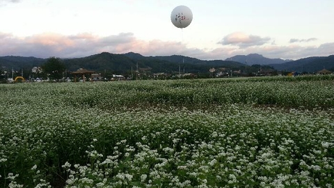 (A)큰사랑재가복지센터8