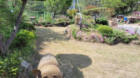 손안애 복 주야간보호센터2