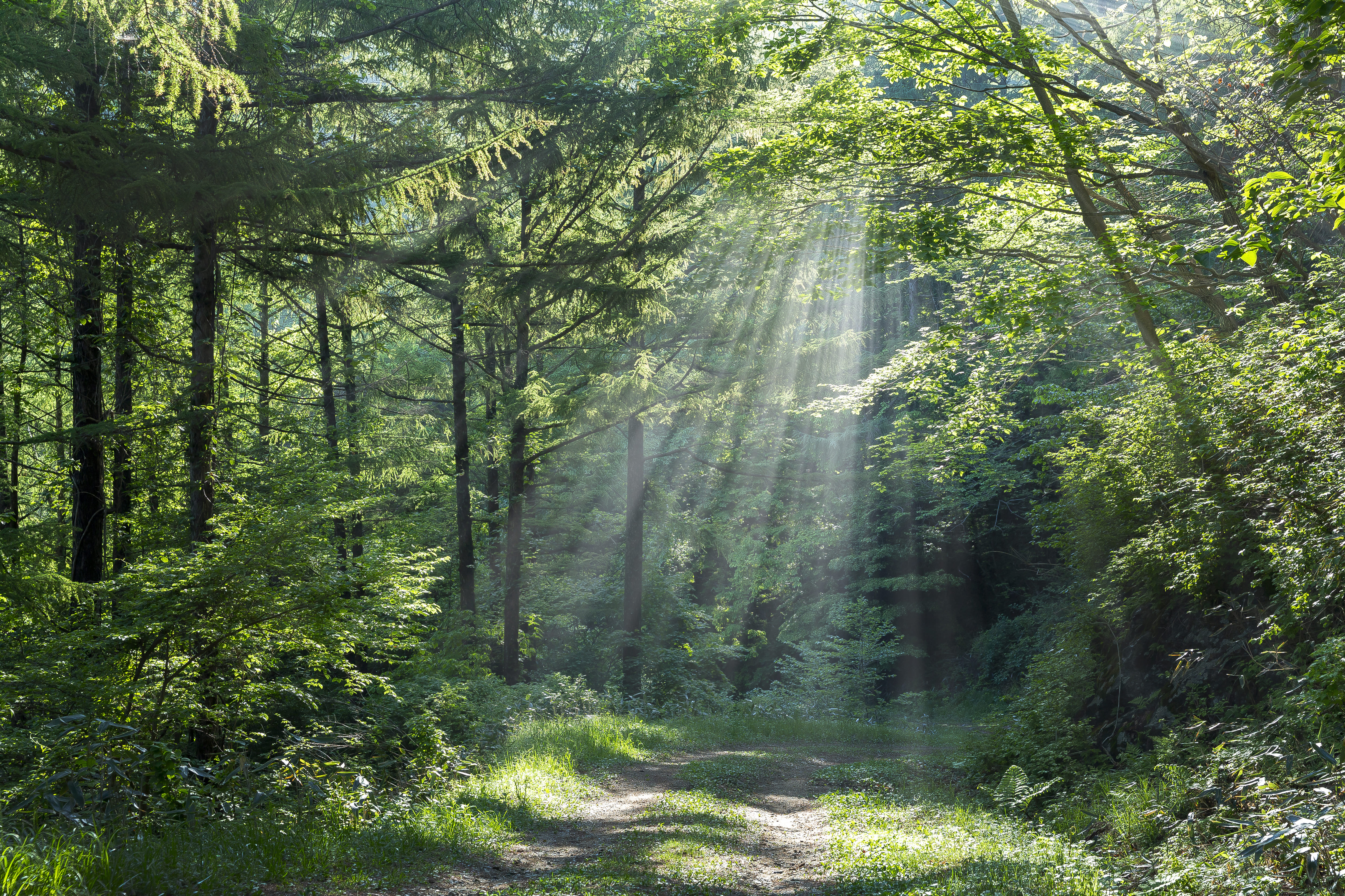 산으로 둘러싸인
자연 속 암 전문 요양병원