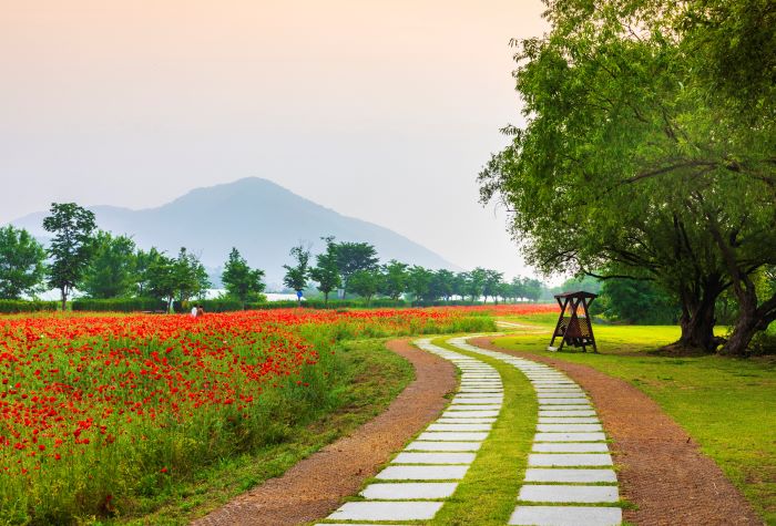 산책로가 잘 되어있는
전국 요양원