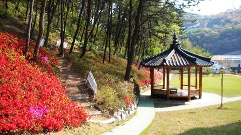 그랜드자연요양병원5