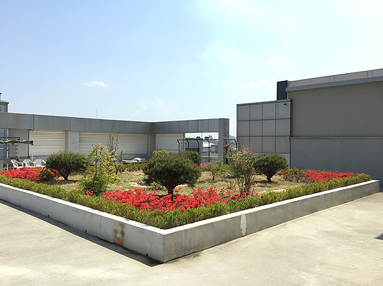 오거리사랑요양병원4