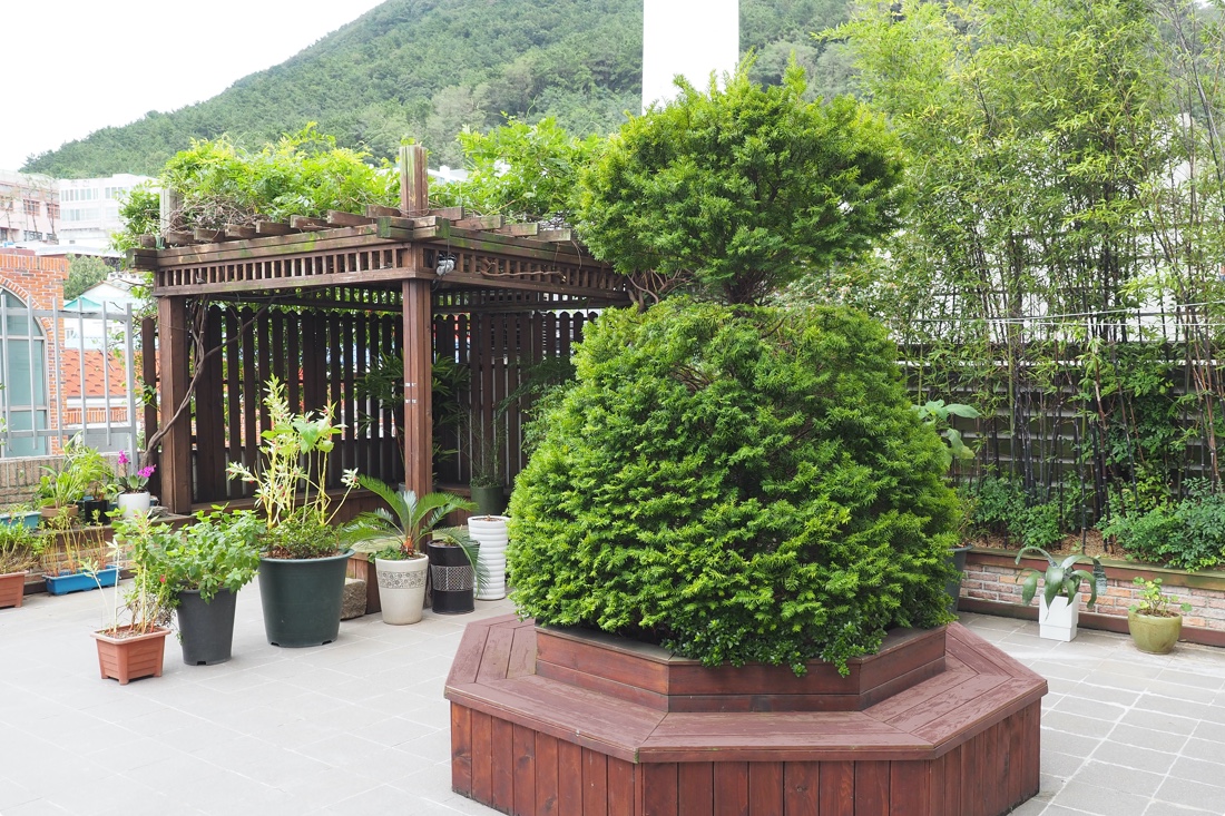 의료법인 강혜의료재단 사랑의요양병원4