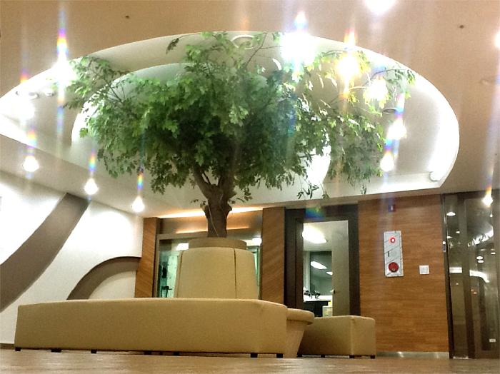 구로푸른요양원4