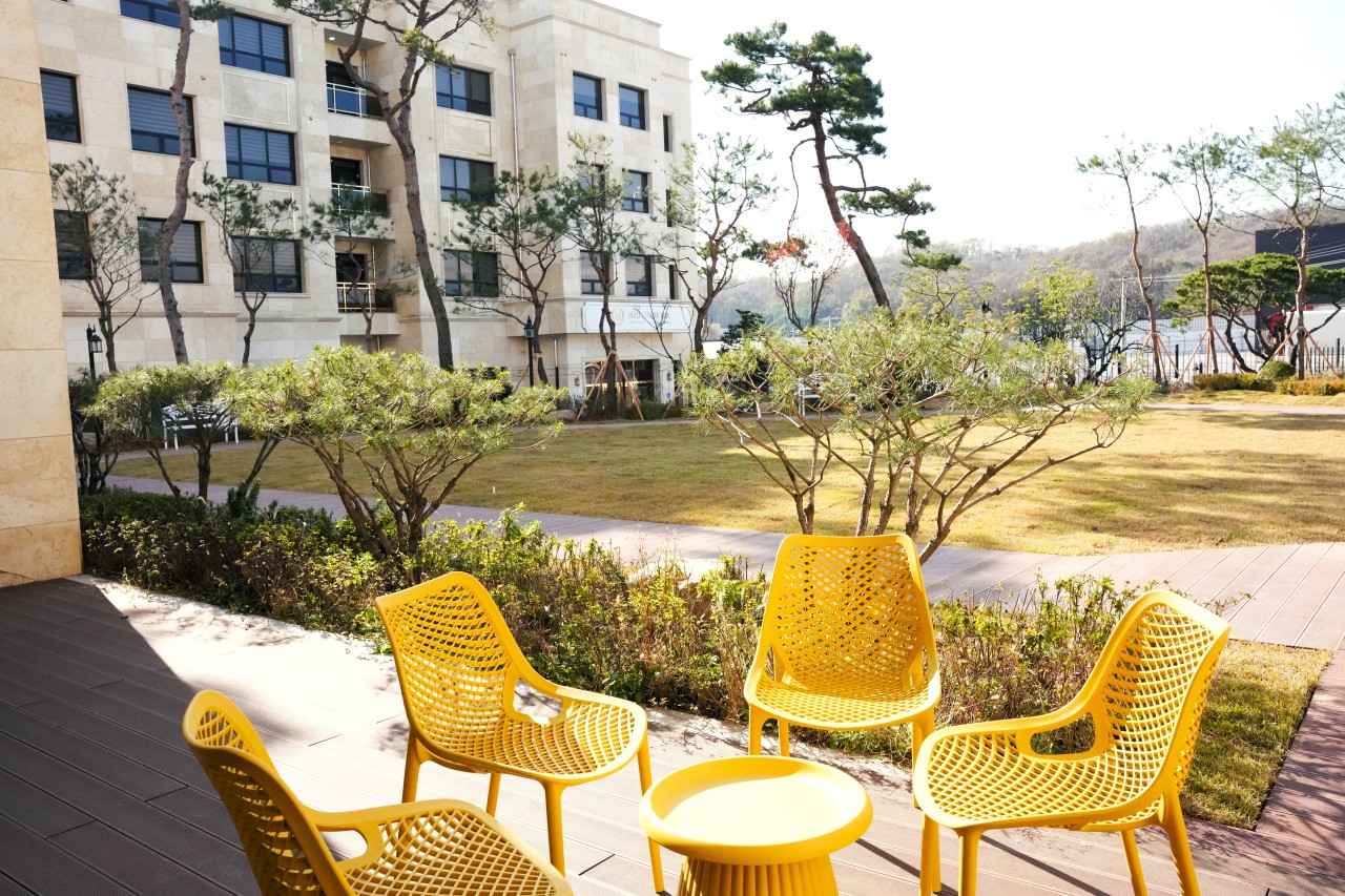 백향목골든케어6