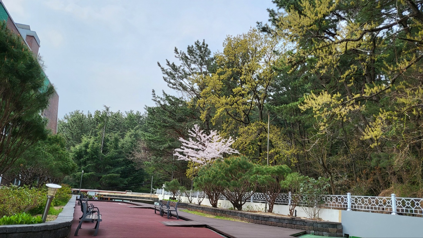 법인내 산책 공간