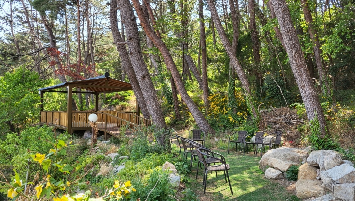 법인내 산책 공간