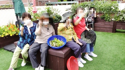 옥상 텃밭