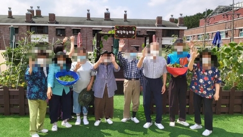 옥상 텃밭
