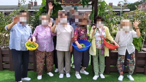 옥상 텃밭