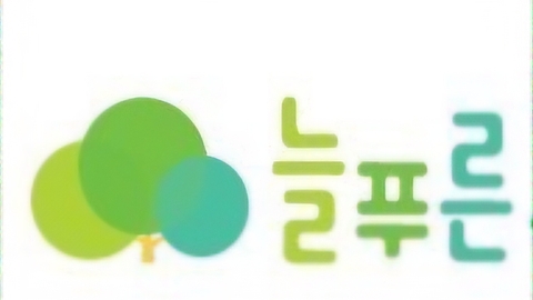 늘푸른주야간재가복지센터1