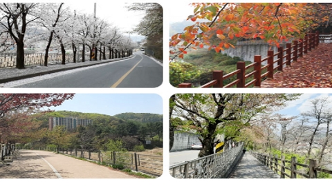 수동시니어타운10